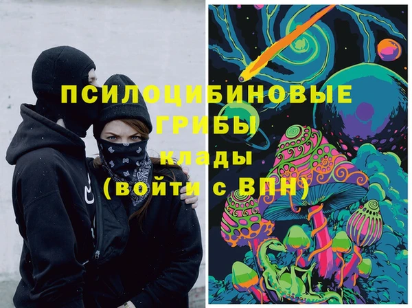 ешки Вяземский